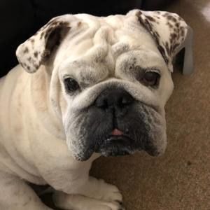 Meet your Posher, Jeannie